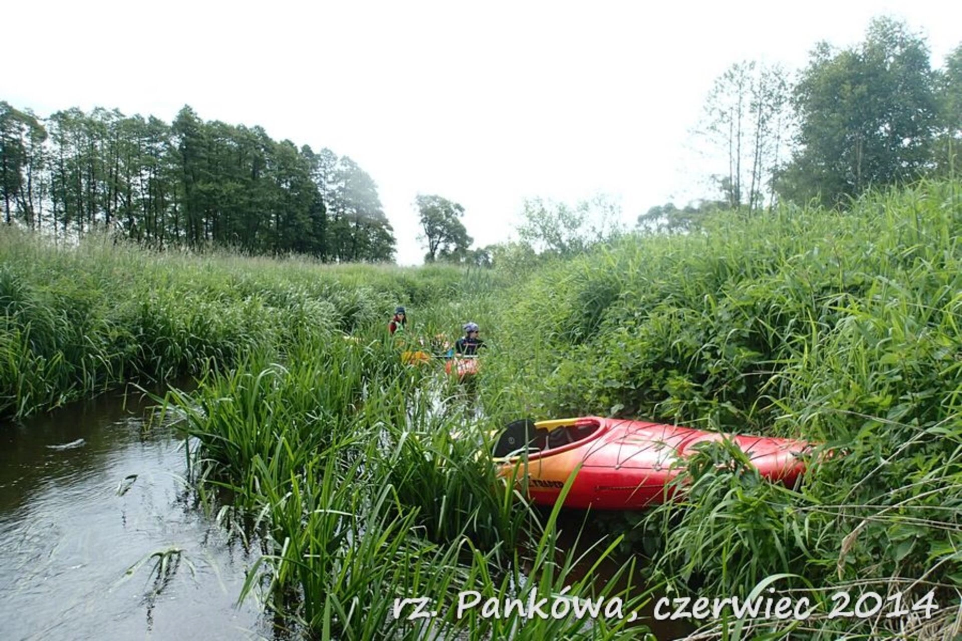 Kajaki Pankówka